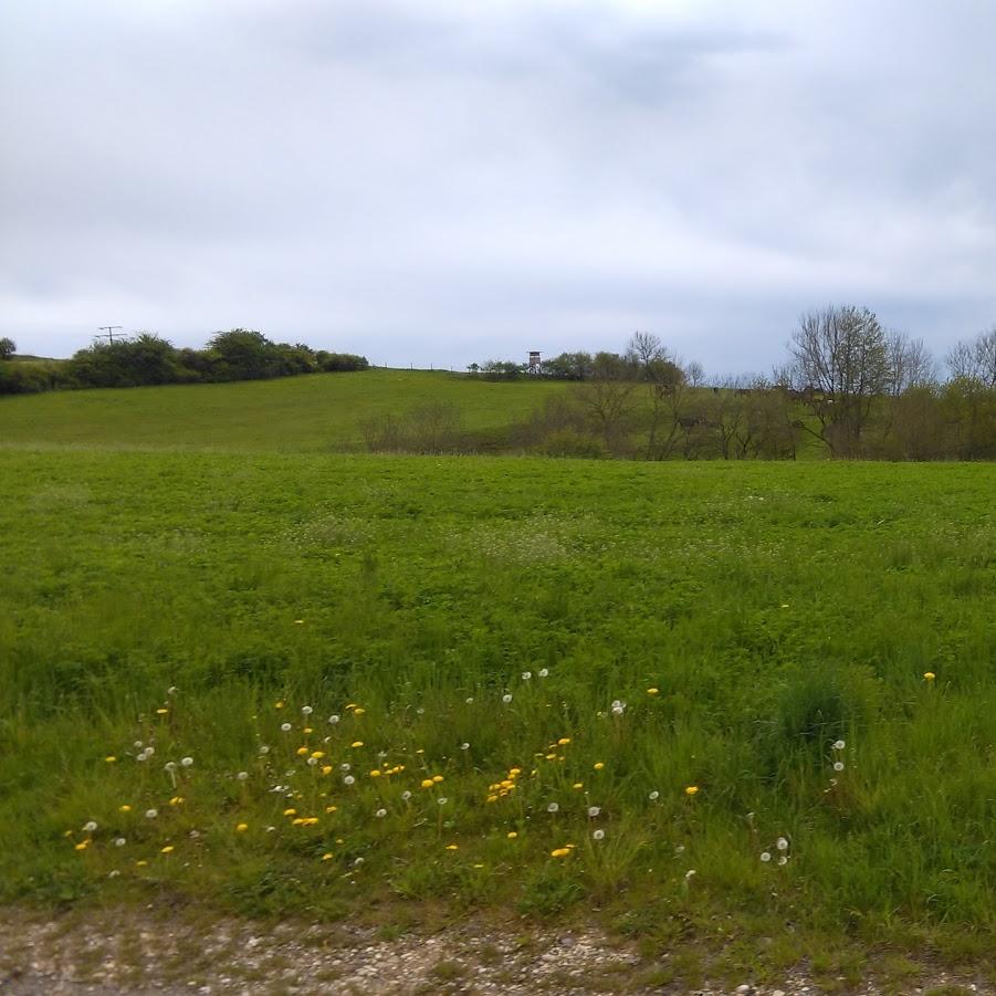 Restaurant "RSV Honstetten" in Eigeltingen