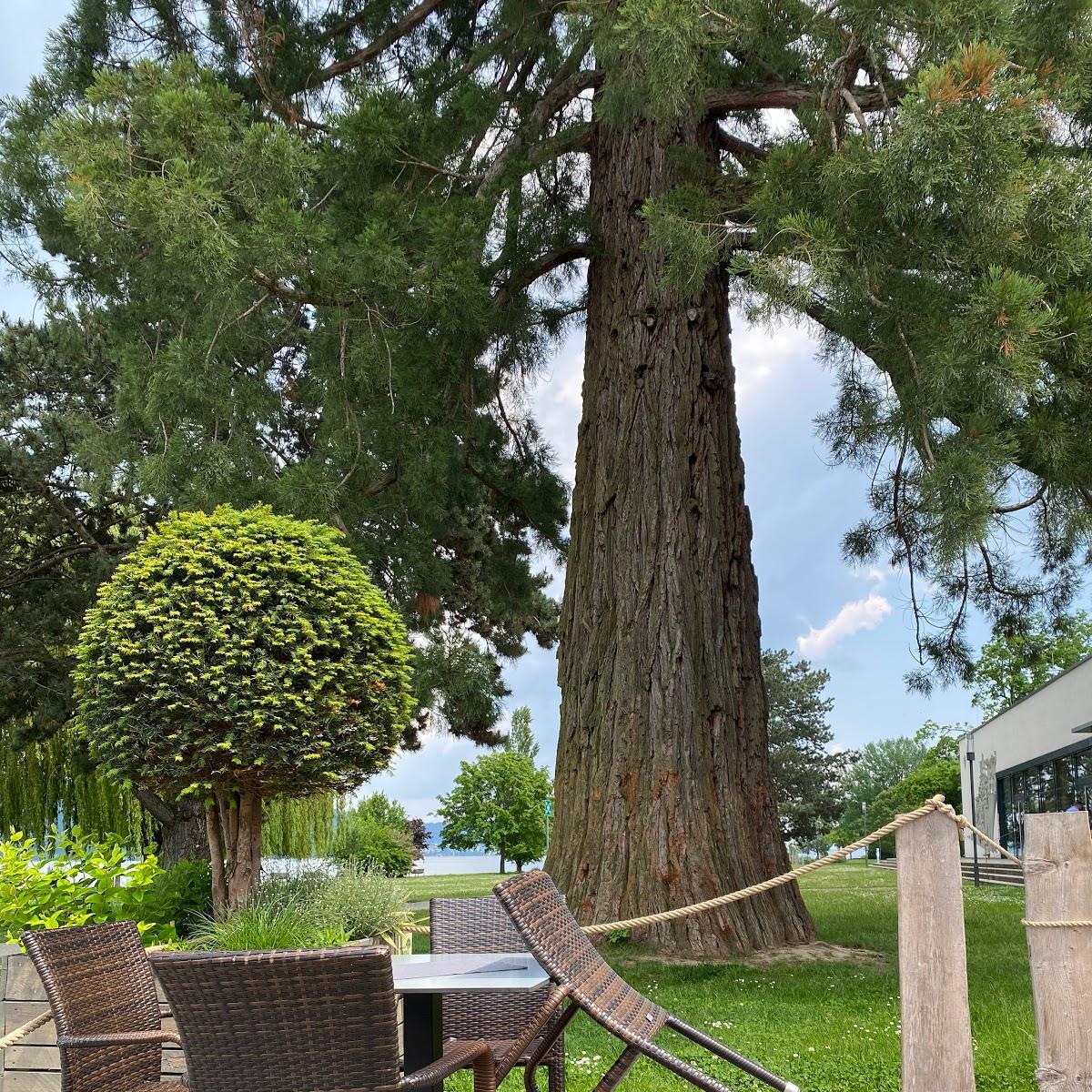 Restaurant "Restaurant Bodano" in Bodman-Ludwigshafen