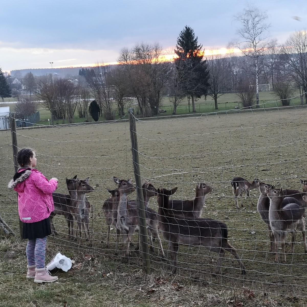 Restaurant "Sportheim Waldmössingen" in Schramberg