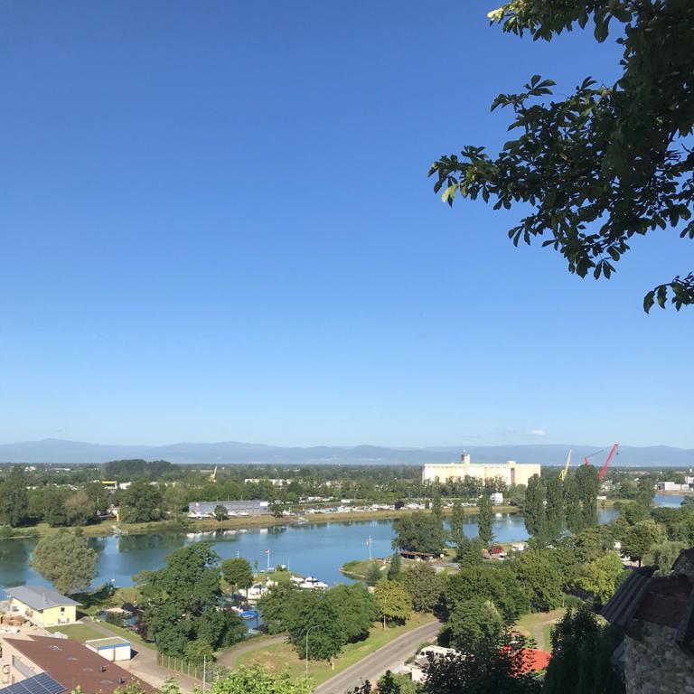 Restaurant "Weinbrunnen am Anleger" in Breisach am Rhein