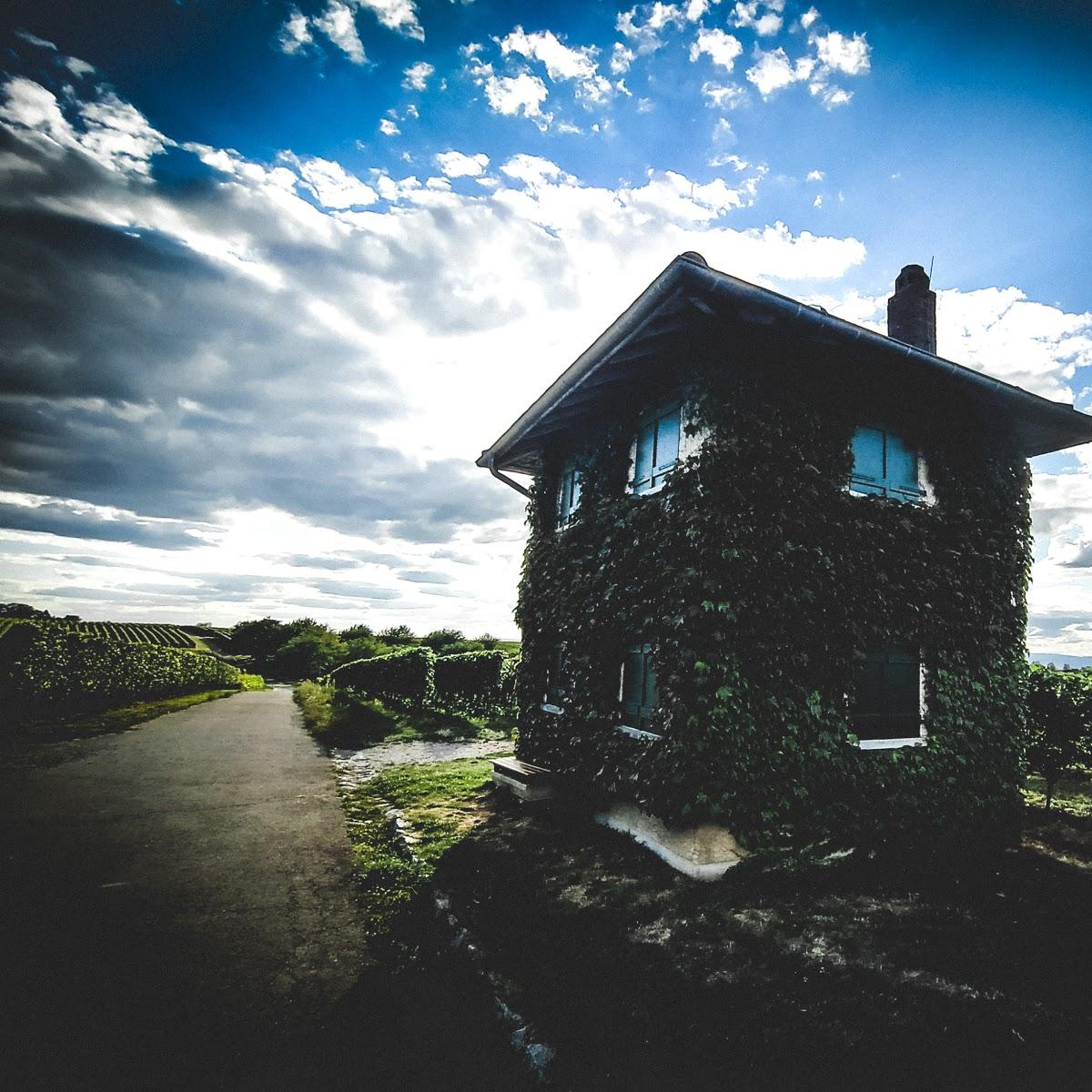 Restaurant "Wettelbrunn" in Staufen im Breisgau