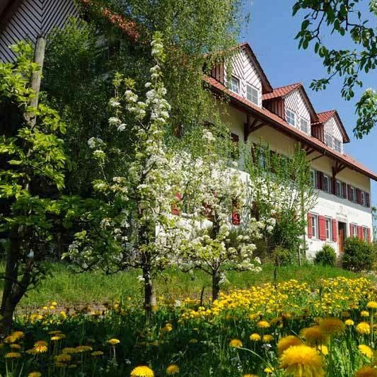 Restaurant "Gasthaus Seerose" in Kressbronn am Bodensee