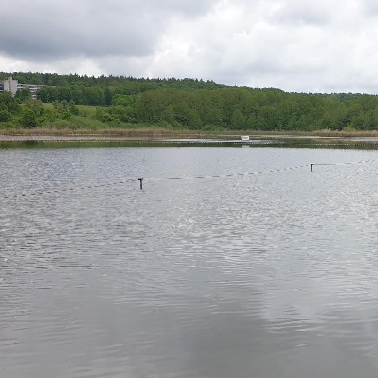 Restaurant "Naturfreibad Zellersee" in Bad Schussenried