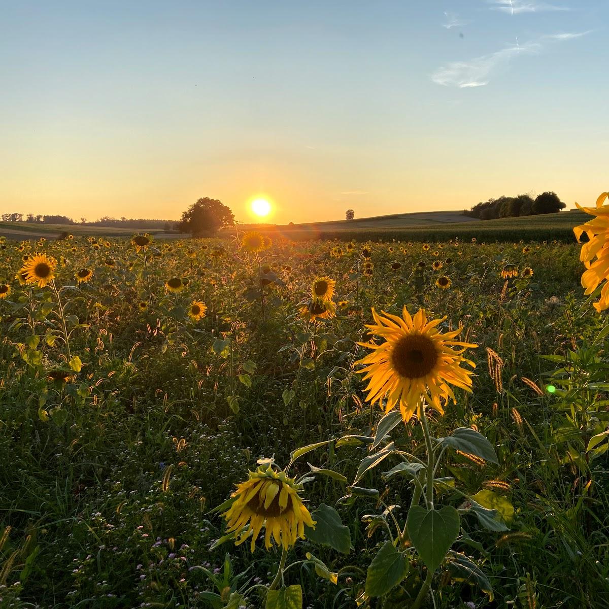 Restaurant "Bauwagen" in Oberdischingen