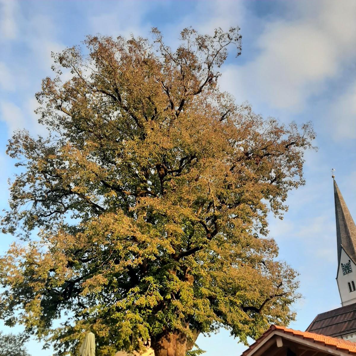 Restaurant "Landgasthof Post" in Röthenbach