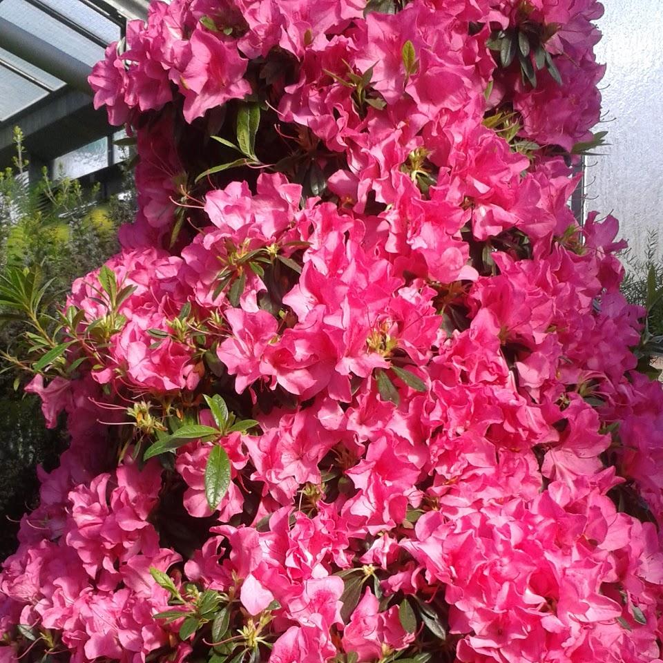 Restaurant "Gasthof zur Sonne" in Rettenbach