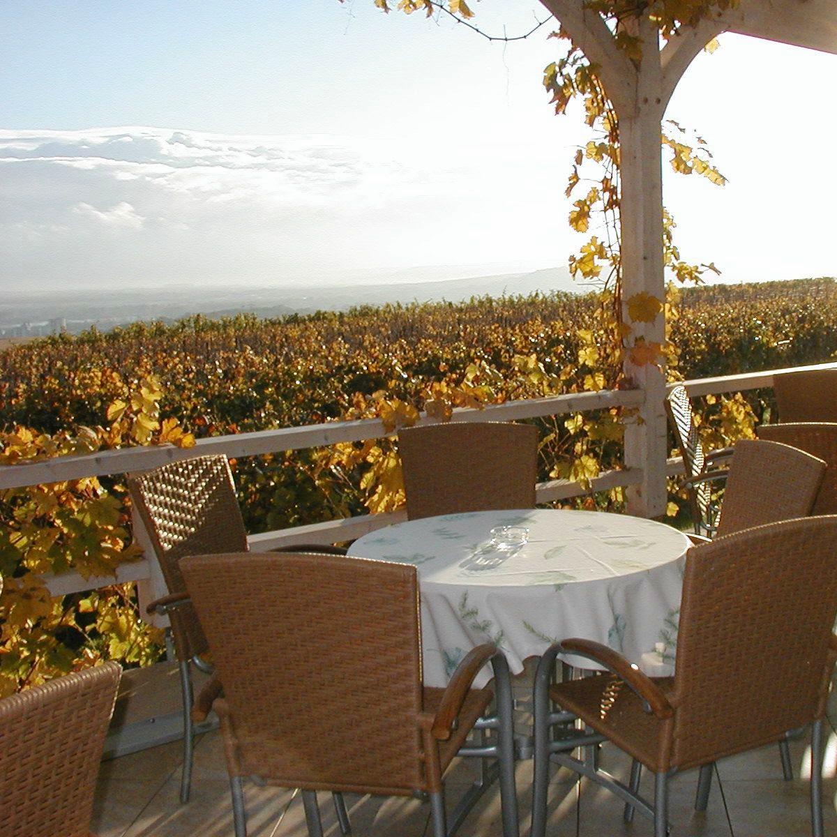 Restaurant "Weingut | Gutsausschank Goldatzel" in Geisenheim