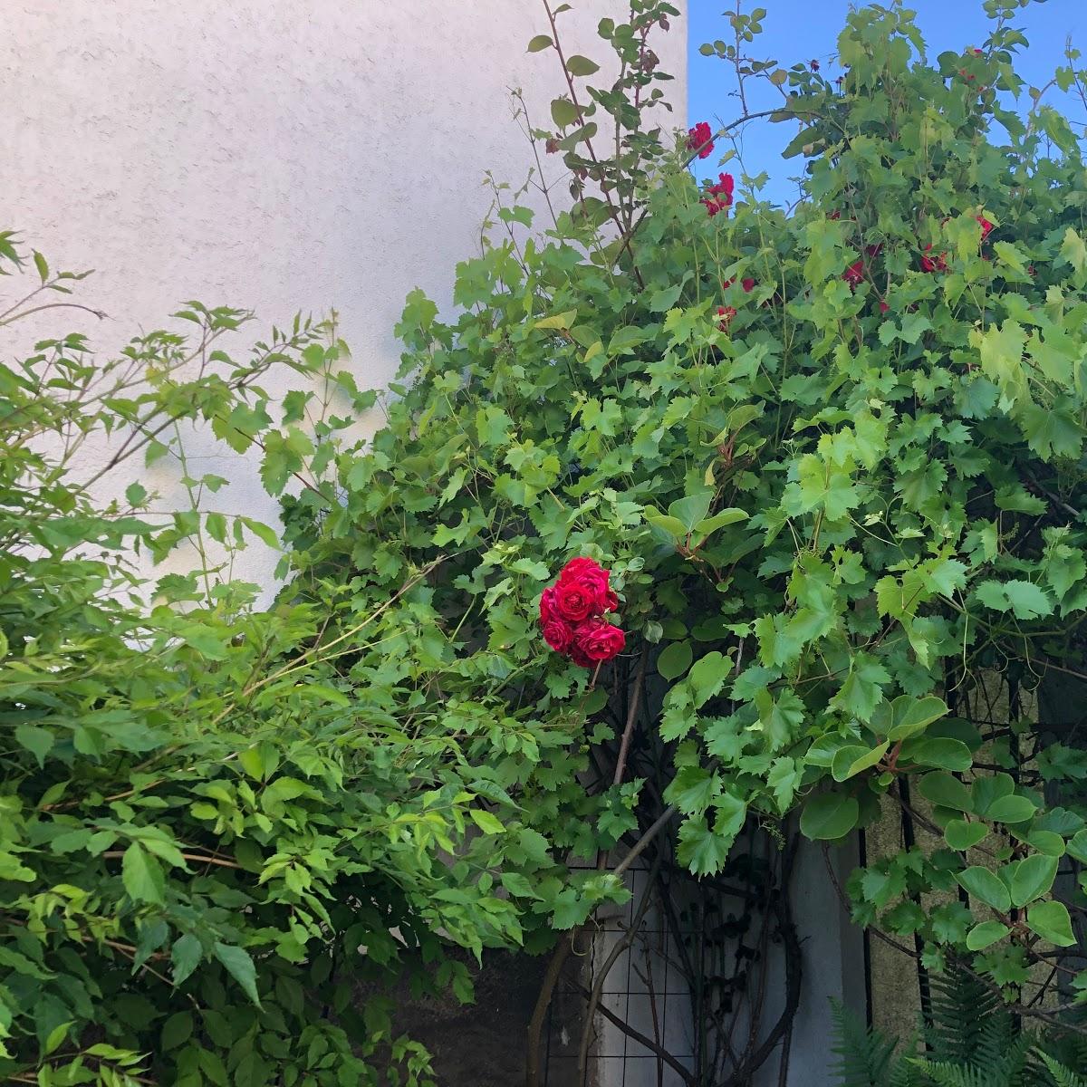 Restaurant "Bistro Fidibus" in Eschborn