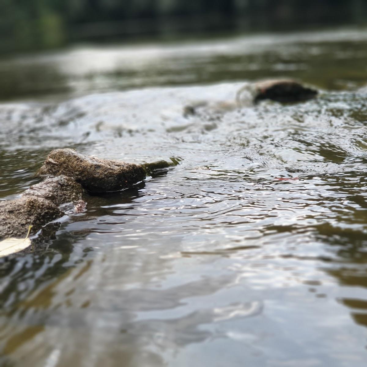Restaurant "Englmüller" in Ruhstorf an der Rott