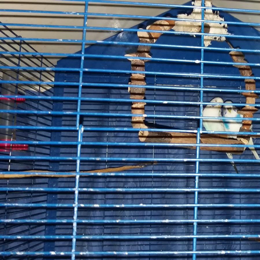 Restaurant "Zum Schlossberg" in Homberg (Ohm)