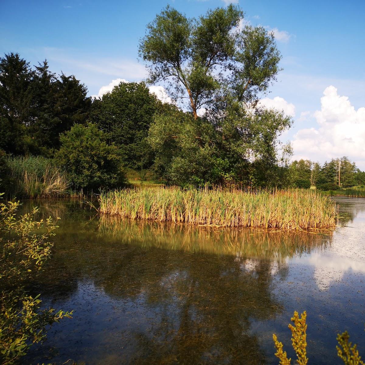 Restaurant "Williams-Tanztreff" in Ehringshausen