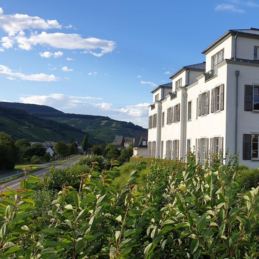 Restaurant "Weingutshotel St. Michael" in Wintrich