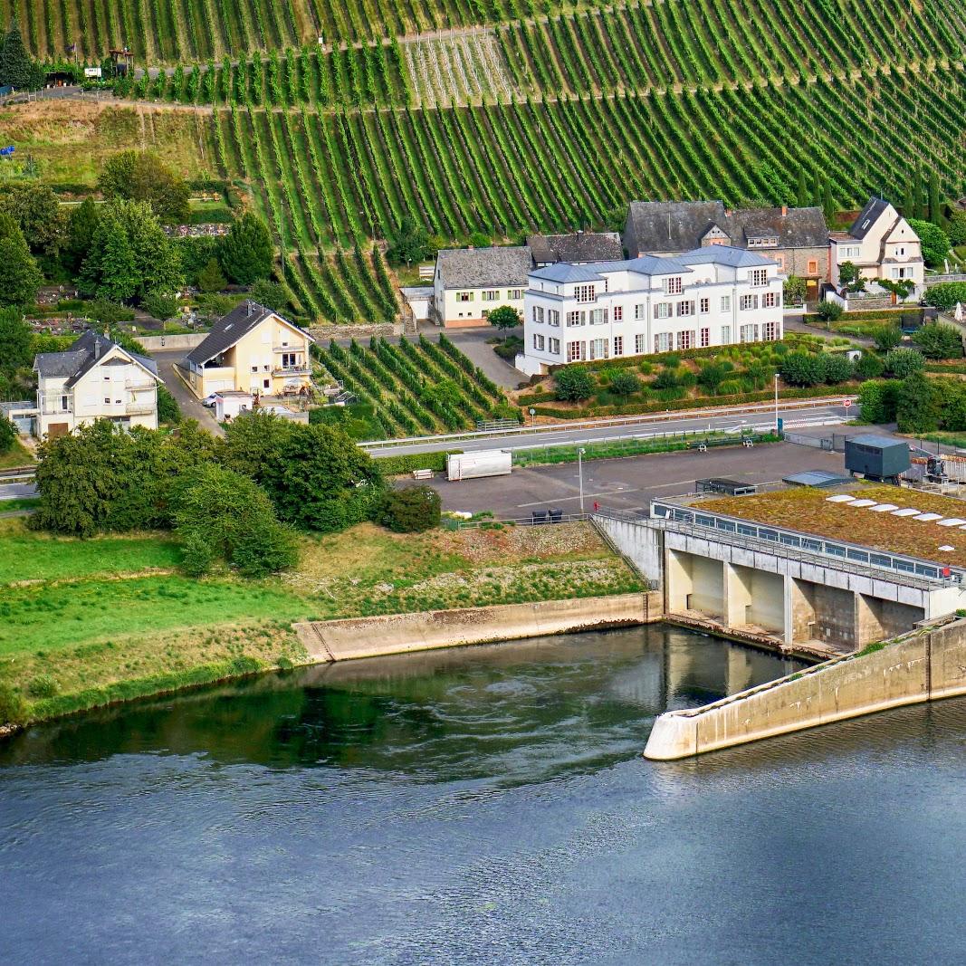 Restaurant "Weingutshotel St. Michael" in Wintrich