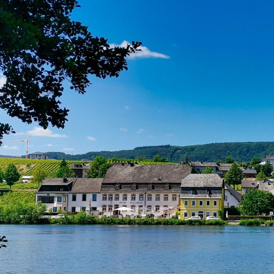 Restaurant "Gasthof Moselloreley - Hotel-Restaurant-Weingut" in Piesport