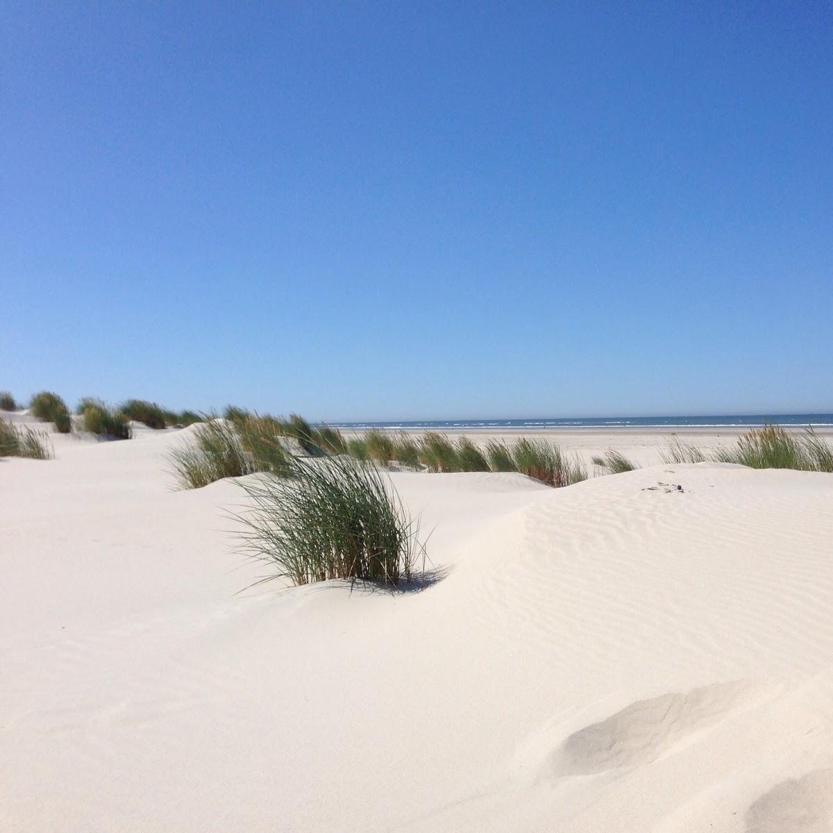 Restaurant "Gästehaus Bohnhorst" in Langeoog