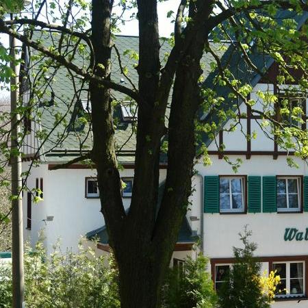 Restaurant "Il Castello - Walderholung Restaurant & Pension" in Hohndorf