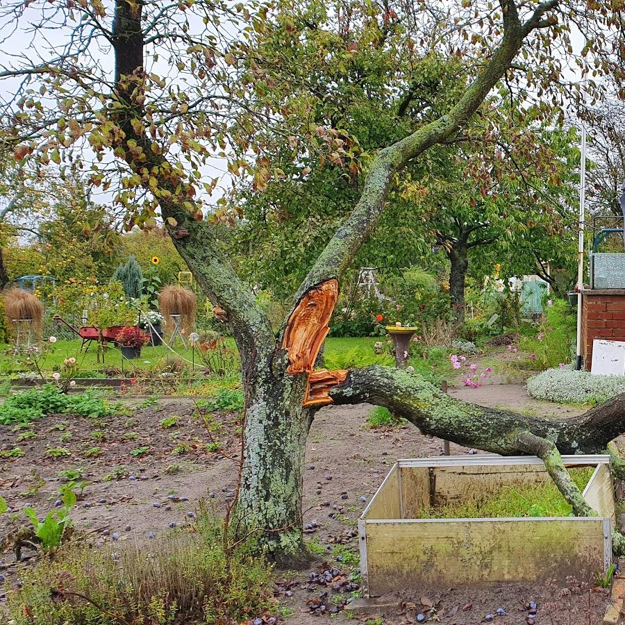 Restaurant "Altes Vereinshaus" in Rostock