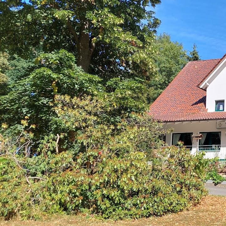 Restaurant "Hotel Waldschänke" in Brakel