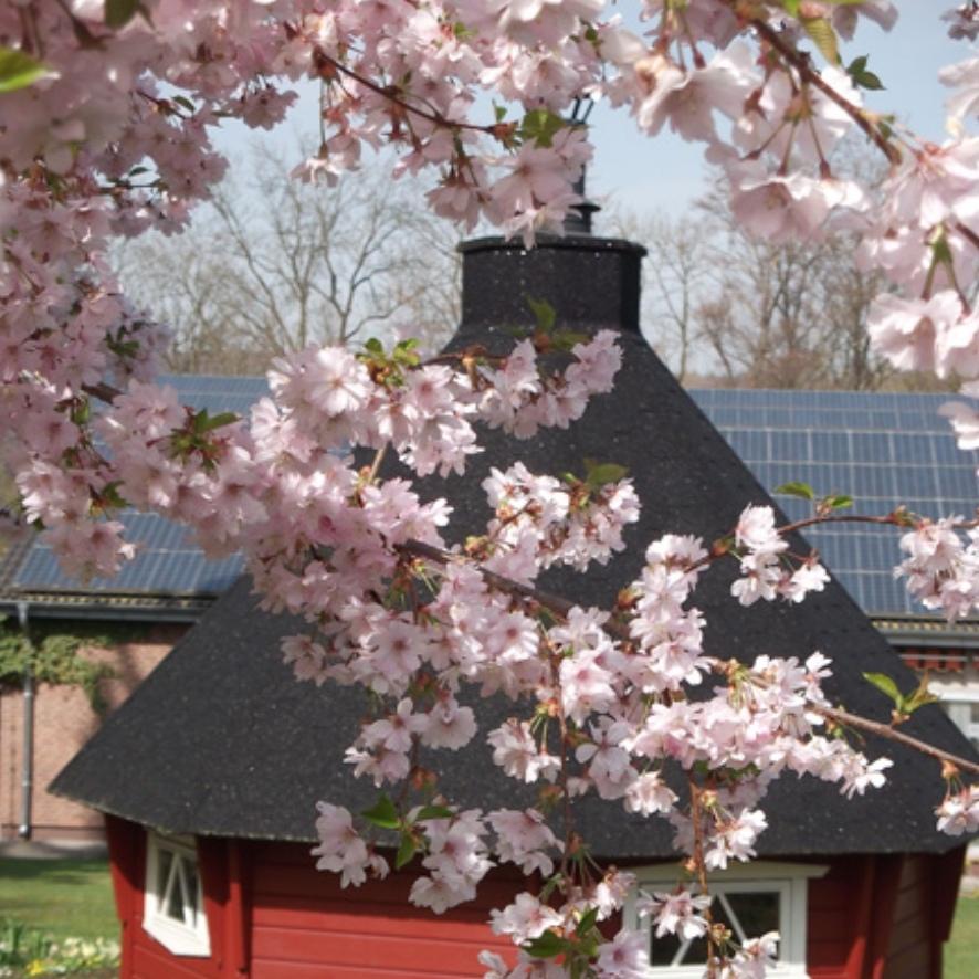 Restaurant "Familien- und Gruppenhaus Erlenhof" in Brakel