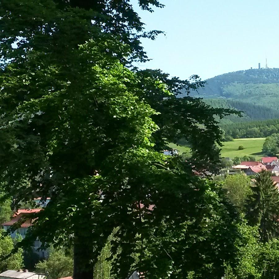 Restaurant "Gaststätte Zur Silberquelle" in Waltershausen