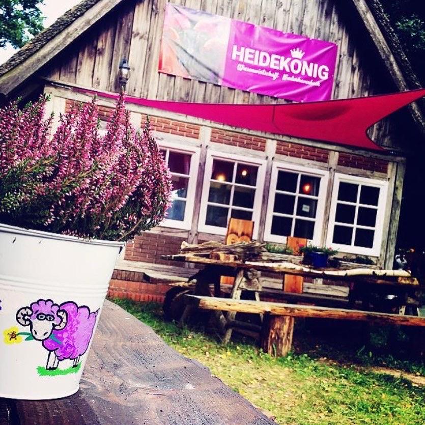 Restaurant "Wiesenwirtschaft Heidekönig" in Bispingen
