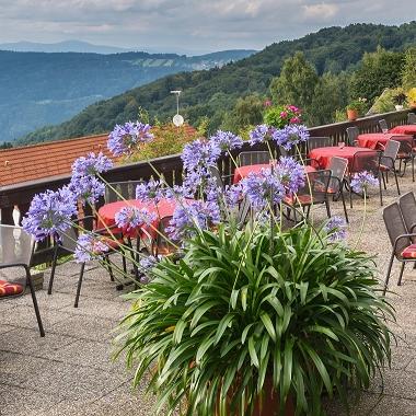 Restaurant "Panorama-Landgasthof Ranzinger" in Schöfweg