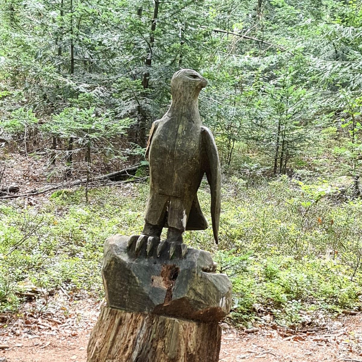 Restaurant "Aussichtsturm Brotjacklriegel Turmstüberl" in Sonnenwald