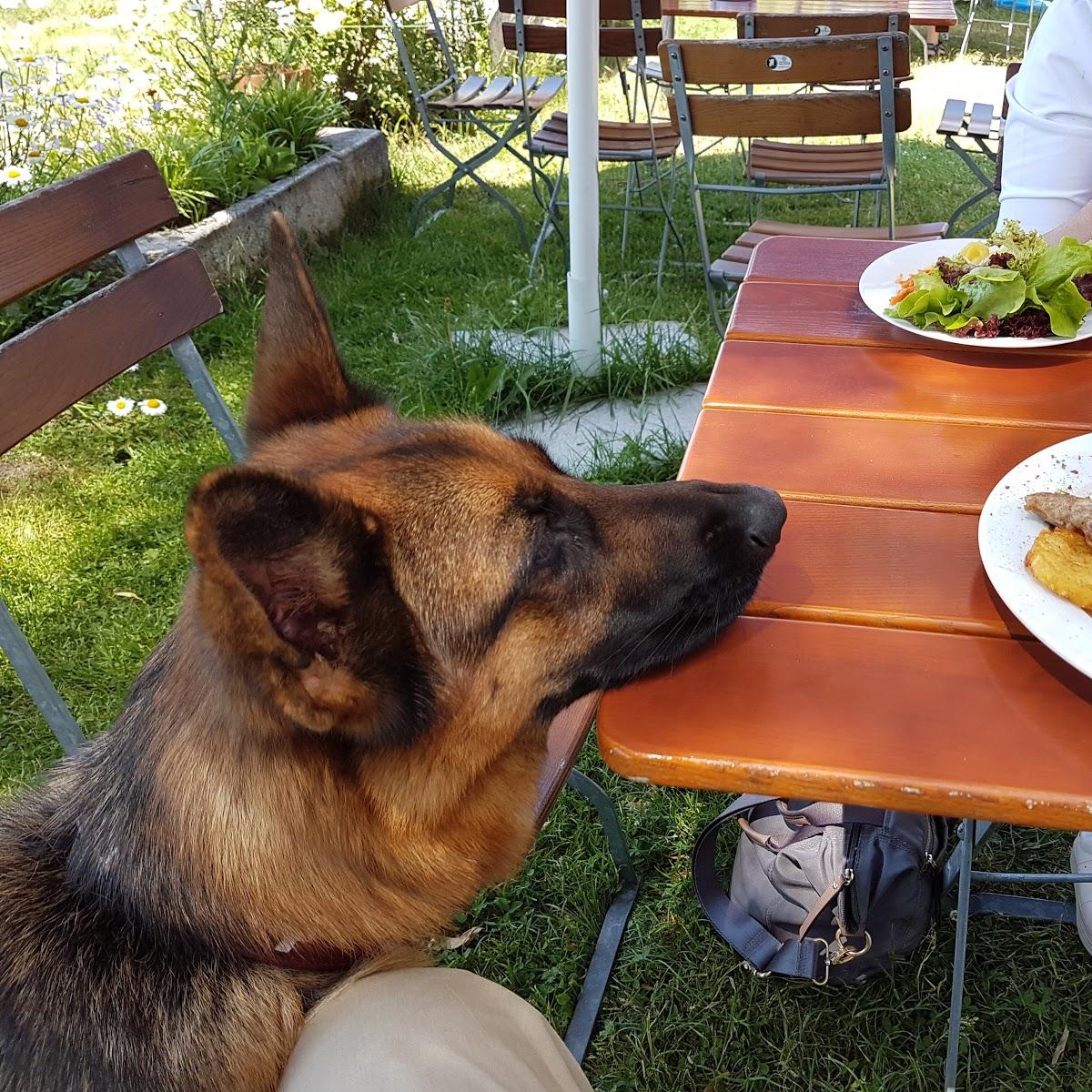 Restaurant "Elke und Stefanie Stemplinger GbR" in Hauzenberg