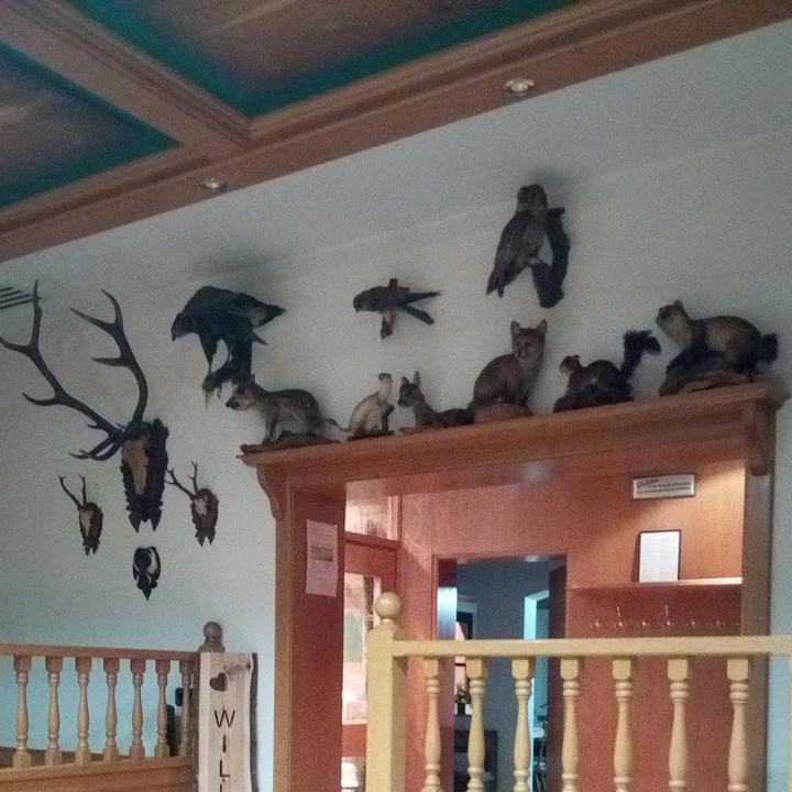 Restaurant "Gasthof Hirsch" in Schollbrunn