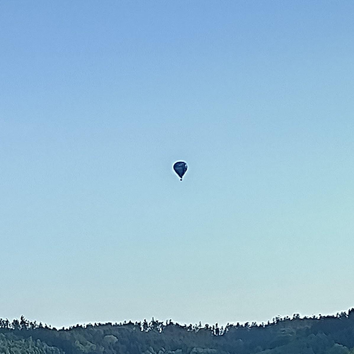 Restaurant "›Roter Löwe‹ Restaurant & Café" in Bad Birnbach