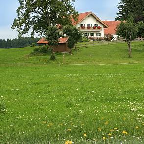 Restaurant "Schölderlehof" in Apfeldorf