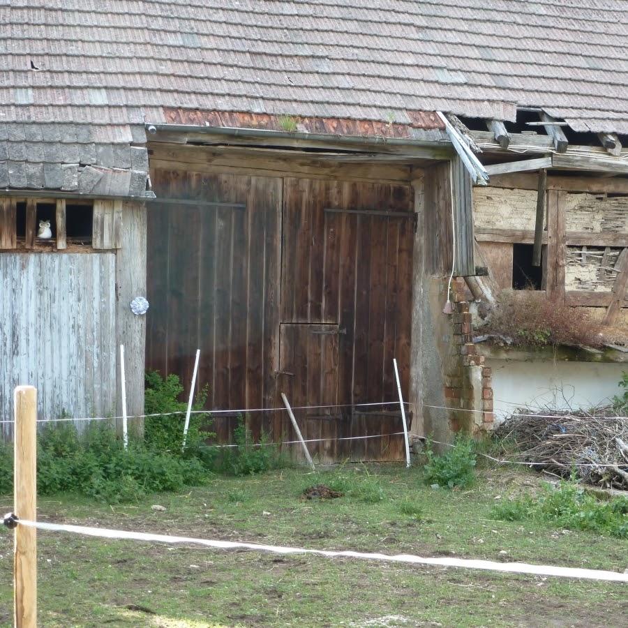 Restaurant "Zum Ochsen Gasthaus Fremdenzimmer" in Gerstetten