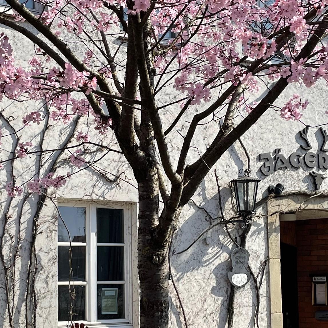 Restaurant "Hotel-Restaurant Jägerhof" in Coesfeld