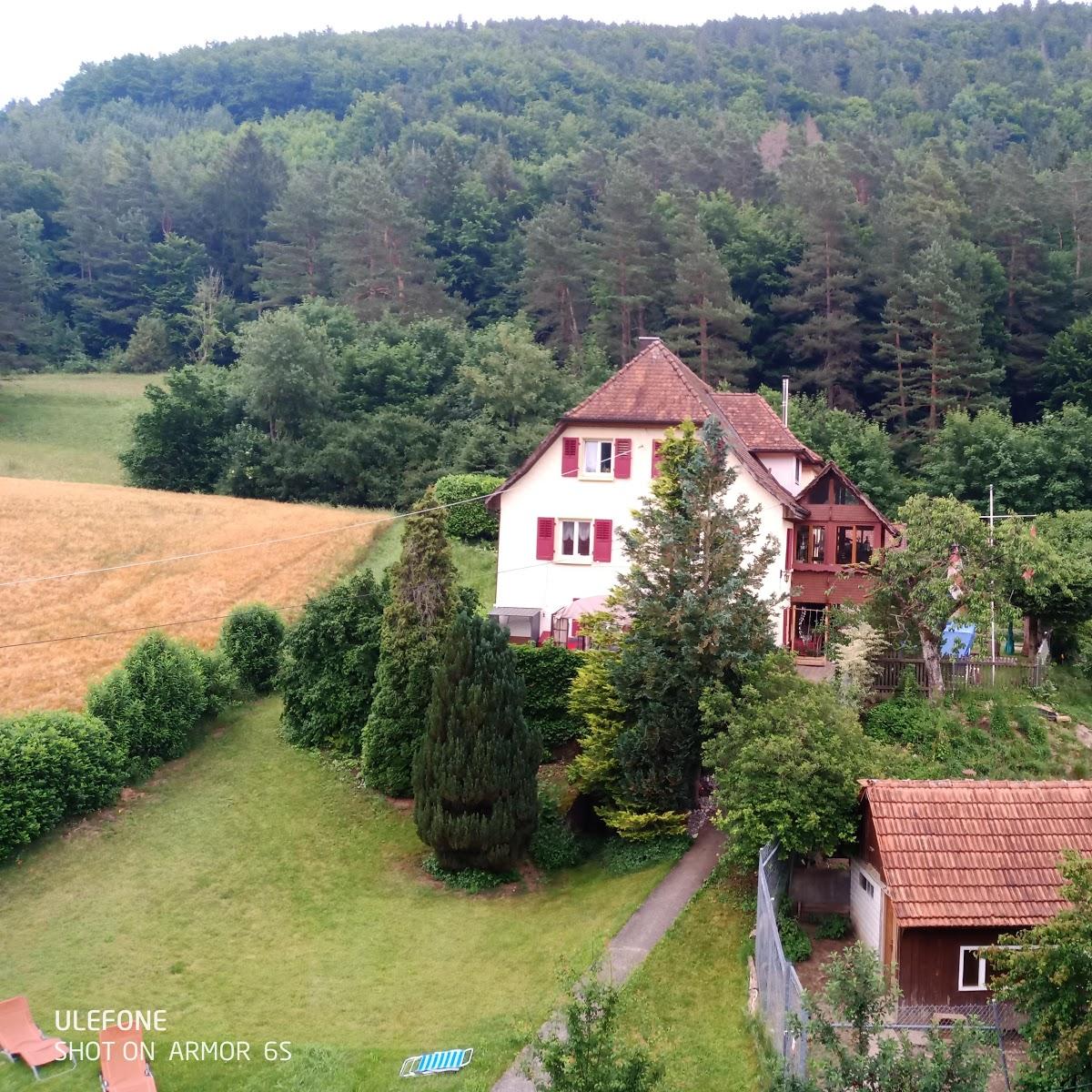 Restaurant "Hotel und Restaurant Tassone zum Löwen" in Tengen