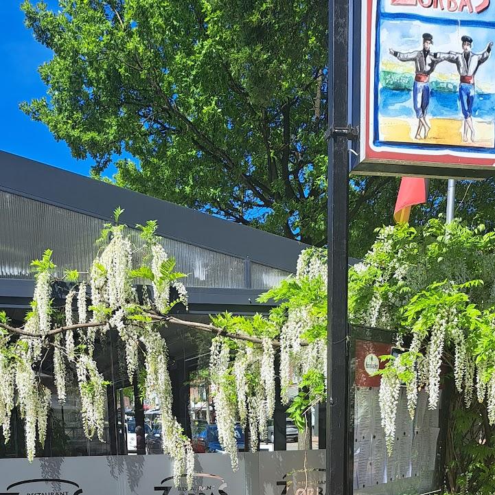 Restaurant "Restaurant Zorbas" in Bad Zwischenahn