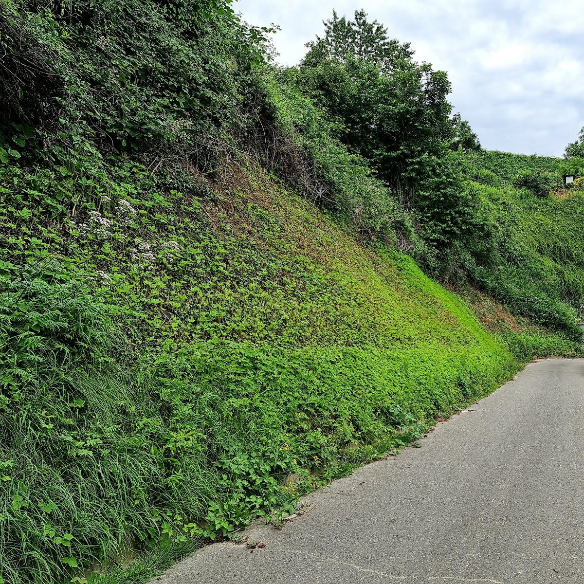 Restaurant "Gästehaus im Rank" in Bötzingen