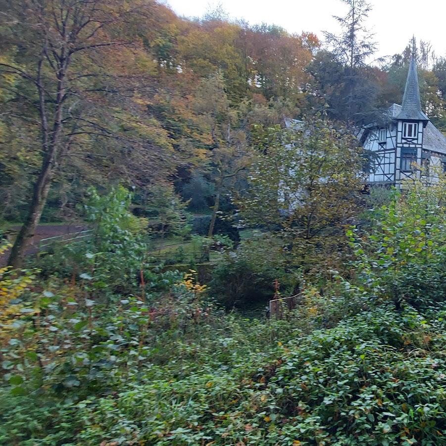 Restaurant "Villa Margarete" in Wirfus