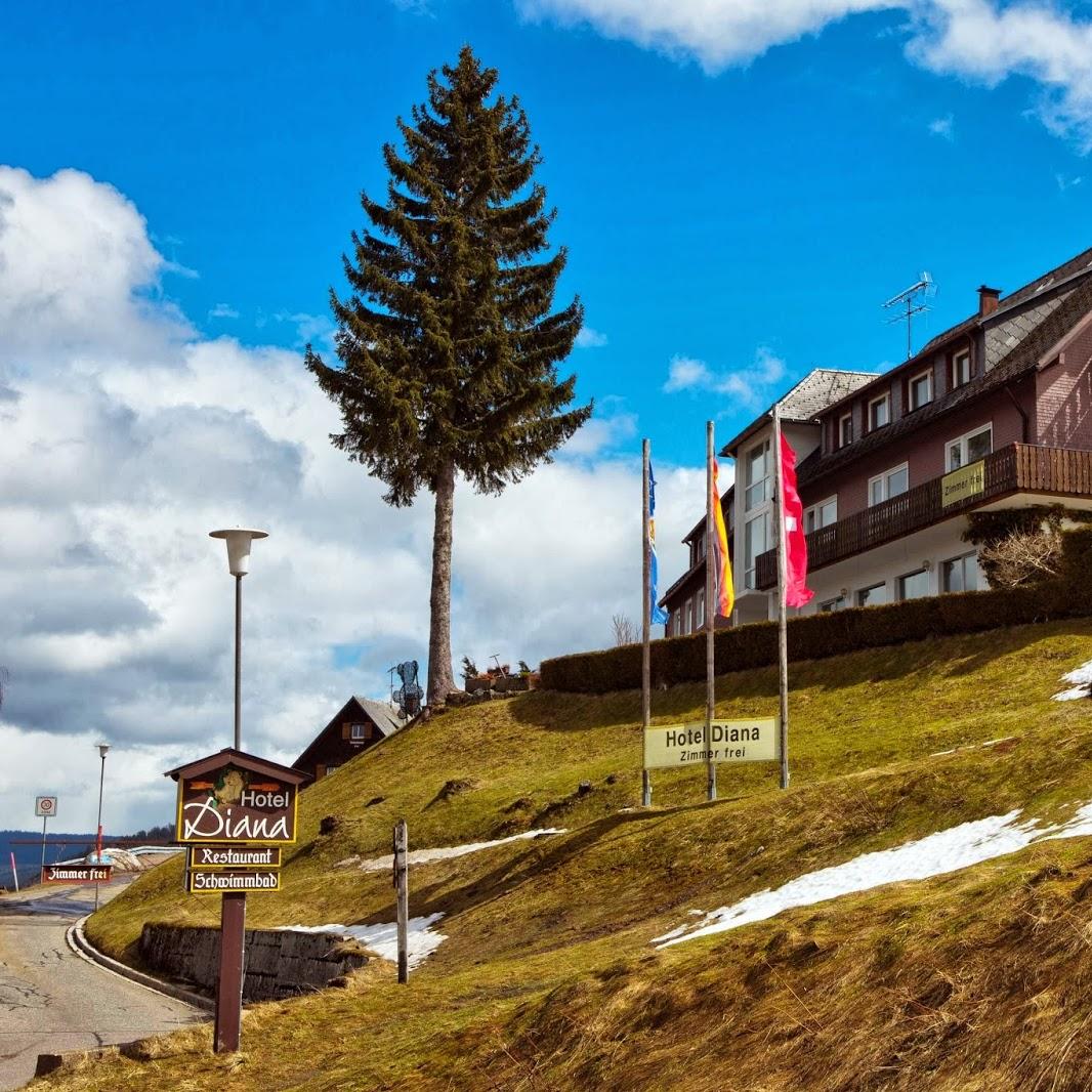 Restaurant "Hotel Diana Feldberg" in Feldberg (Schwarzwald)