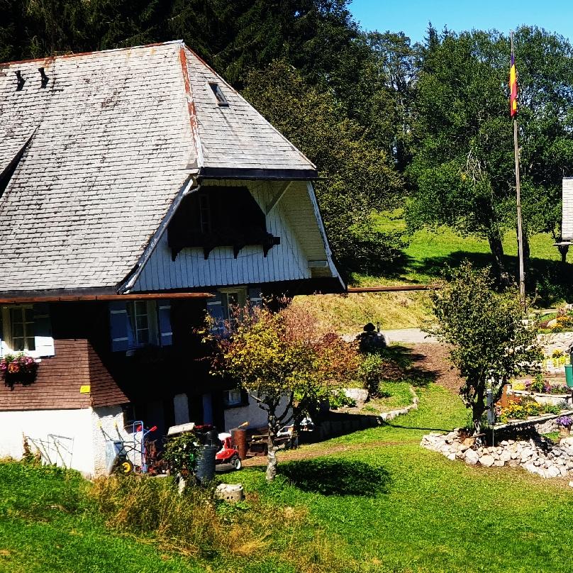Restaurant "Hercynen-Berghaus" in Feldberg (Schwarzwald)