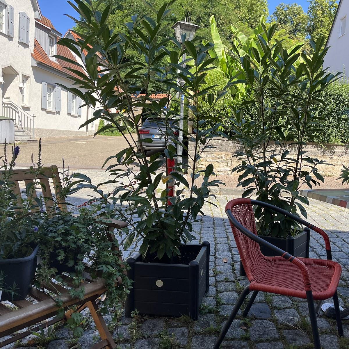 Restaurant "Bistro Cafe Miljöh" in Bad Wimpfen