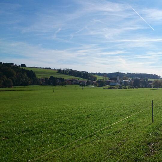 Restaurant "Wagenspöck Matthias" in Reichertsheim