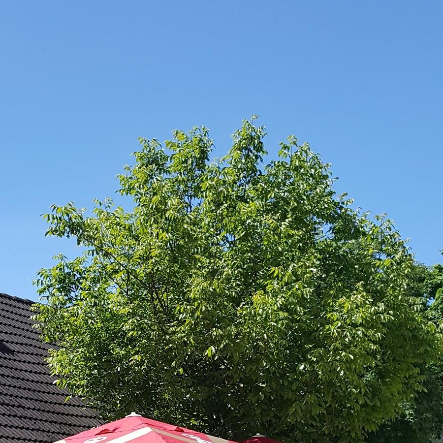 Restaurant "Gasthaus Wiedemann" in Nördlingen