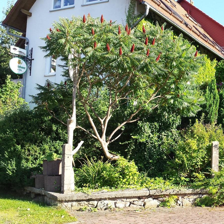 Restaurant "Gaststätte Pension Lindenhof" in Eisfeld