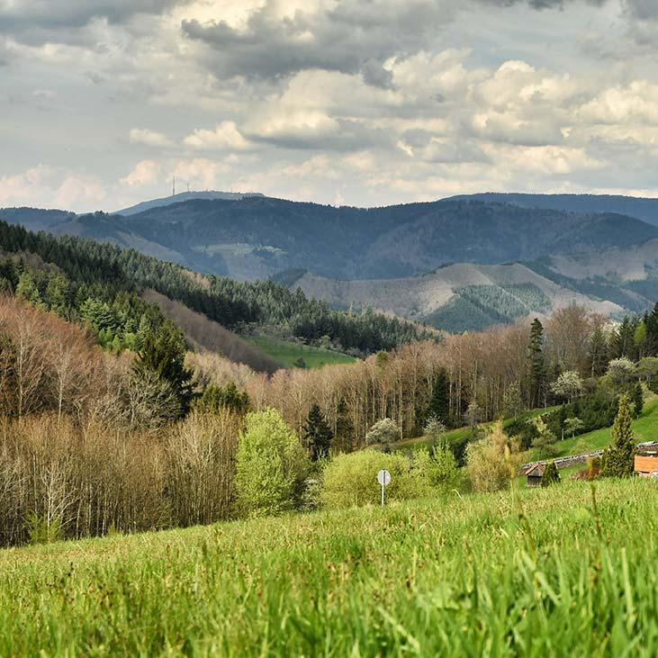 Restaurant "Höhenhotel & Restaurant Kalikutt" in Oppenau