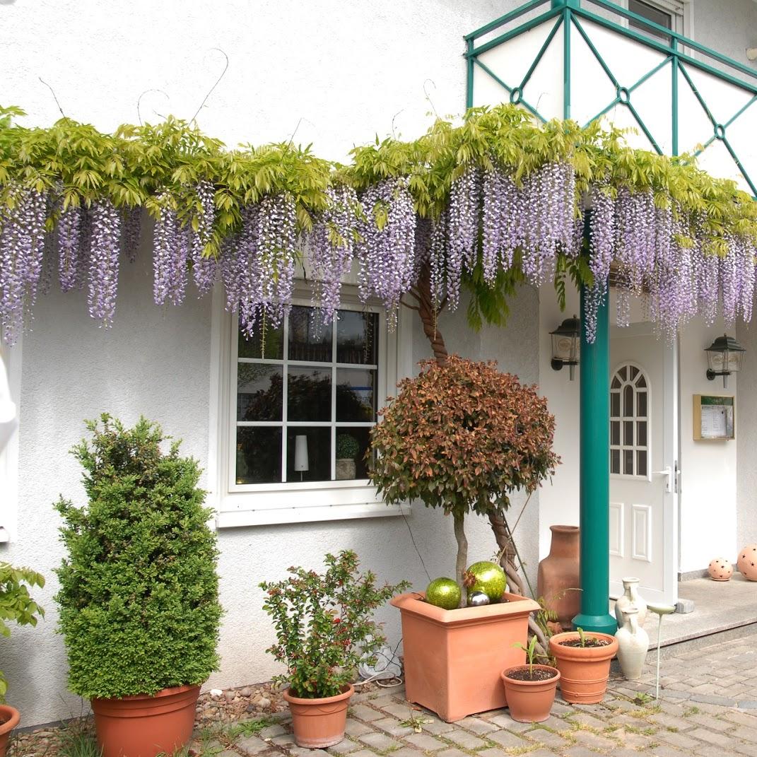 Restaurant "Hotel Sterkel" in Rödermark