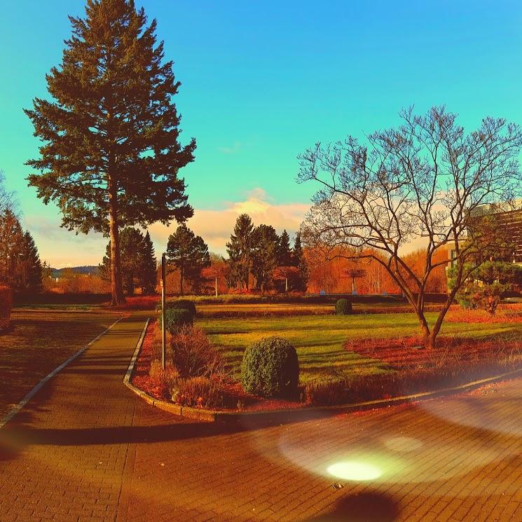Restaurant "Hotel am See oHG - Gästehaus der  Aktiengesellschaft" in Salzgitter