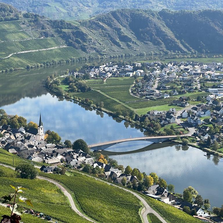 Restaurant "Hotel und Restaurant Moselblick" in Piesport