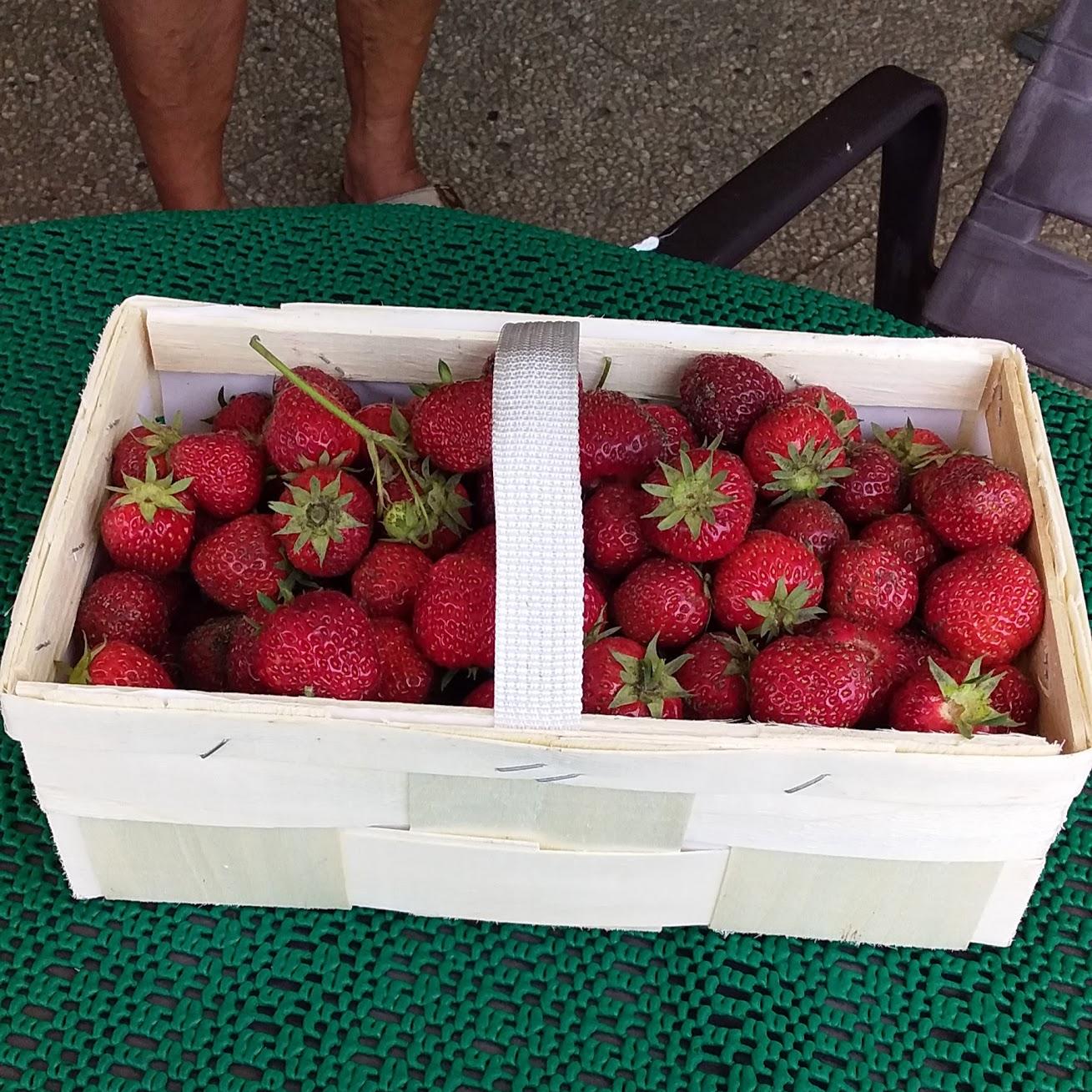 Restaurant "Kantine Hans Sass" in Neumünster
