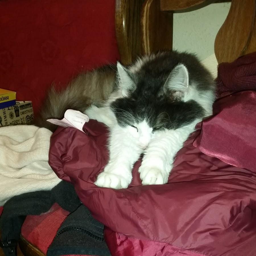 Restaurant "Schäufl M. Gasthaus" in Ortenburg