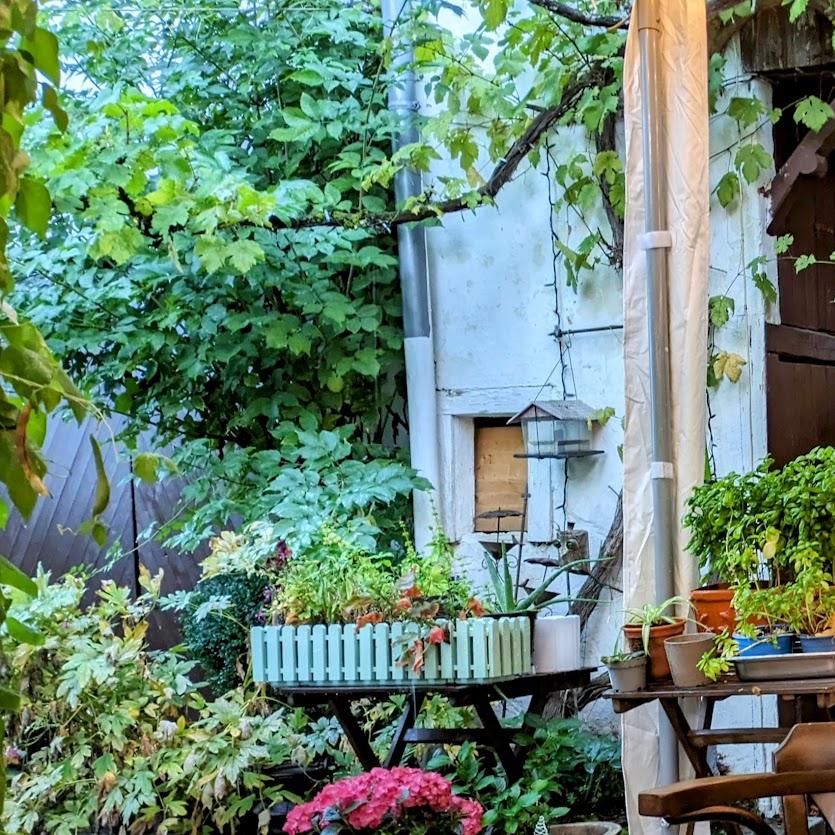 Restaurant "Landgasthof Alt-" in Birkenfeld